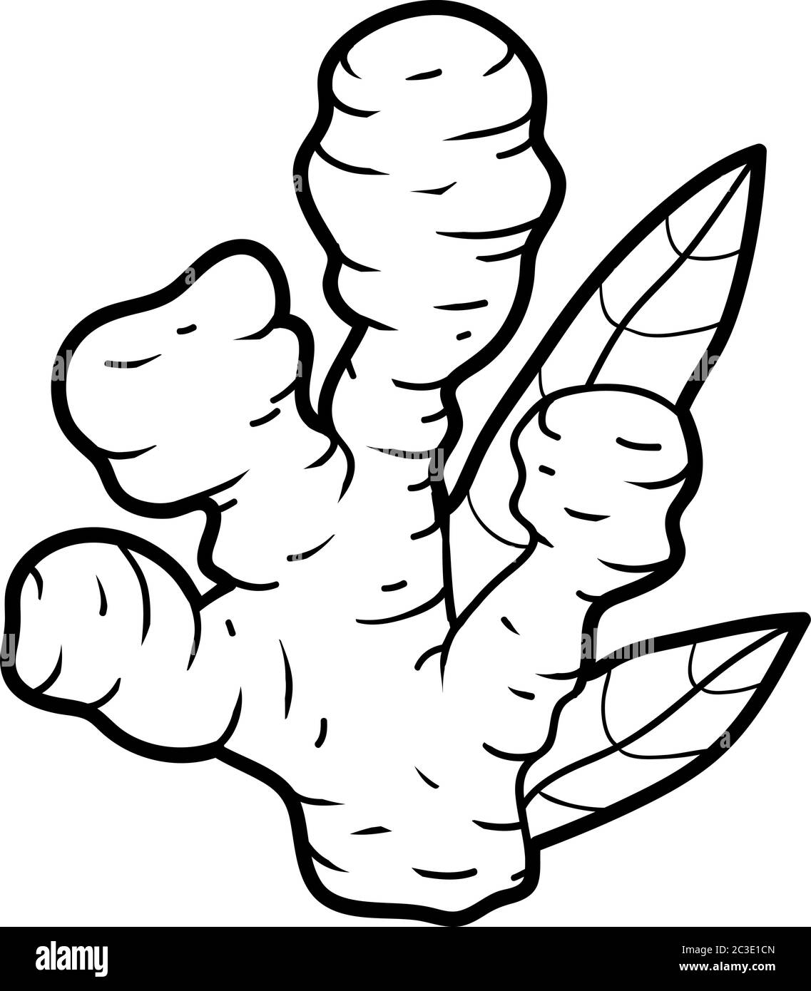 Livre de coloriage pour enfants, plante, gingembre Illustration de Vecteur