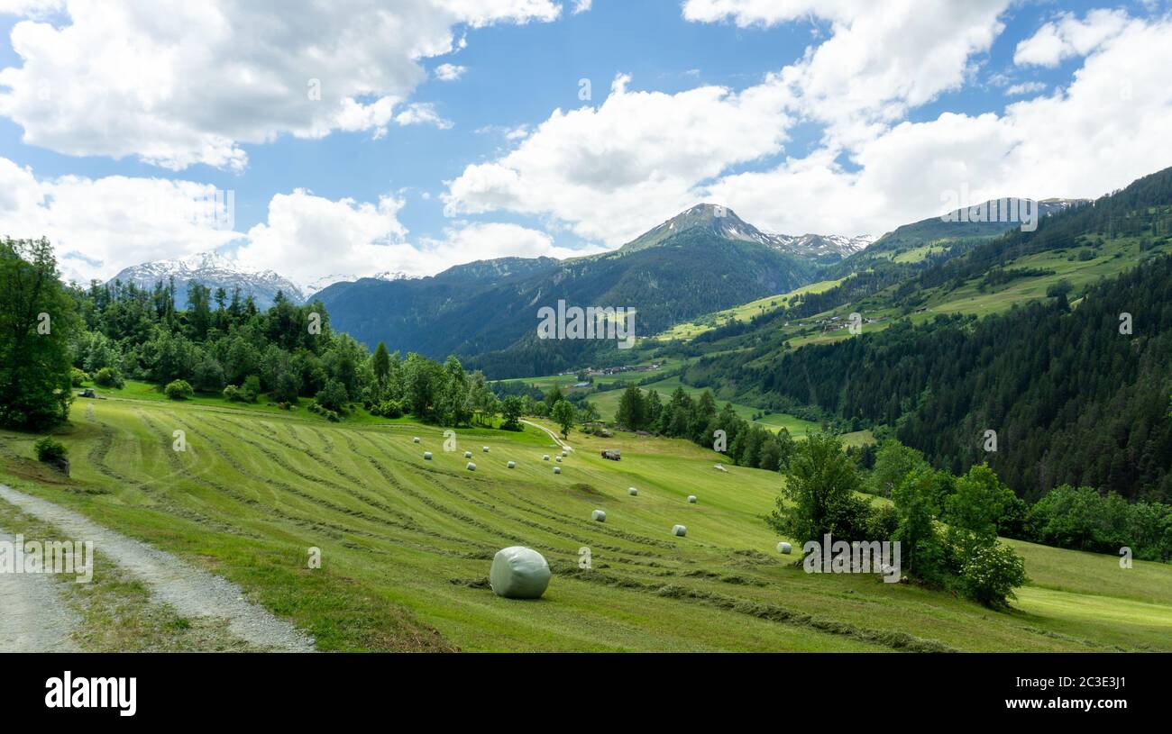 Arbres De Paysage Agricole Banque D image Et Photos Alamy
