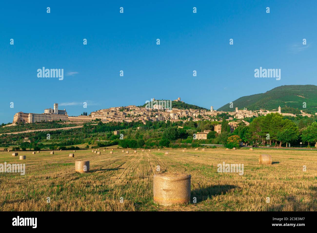 Vue sur la basilique Saint François d'Assise et la vieille ville d'Assise. Banque D'Images