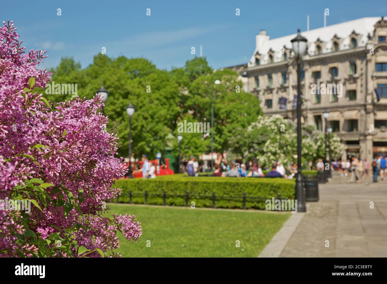 Fleurs et personnes en pleine floraison en profitant de la journée d'été ensoleillée au parc d'Oslo, Norvège Banque D'Images