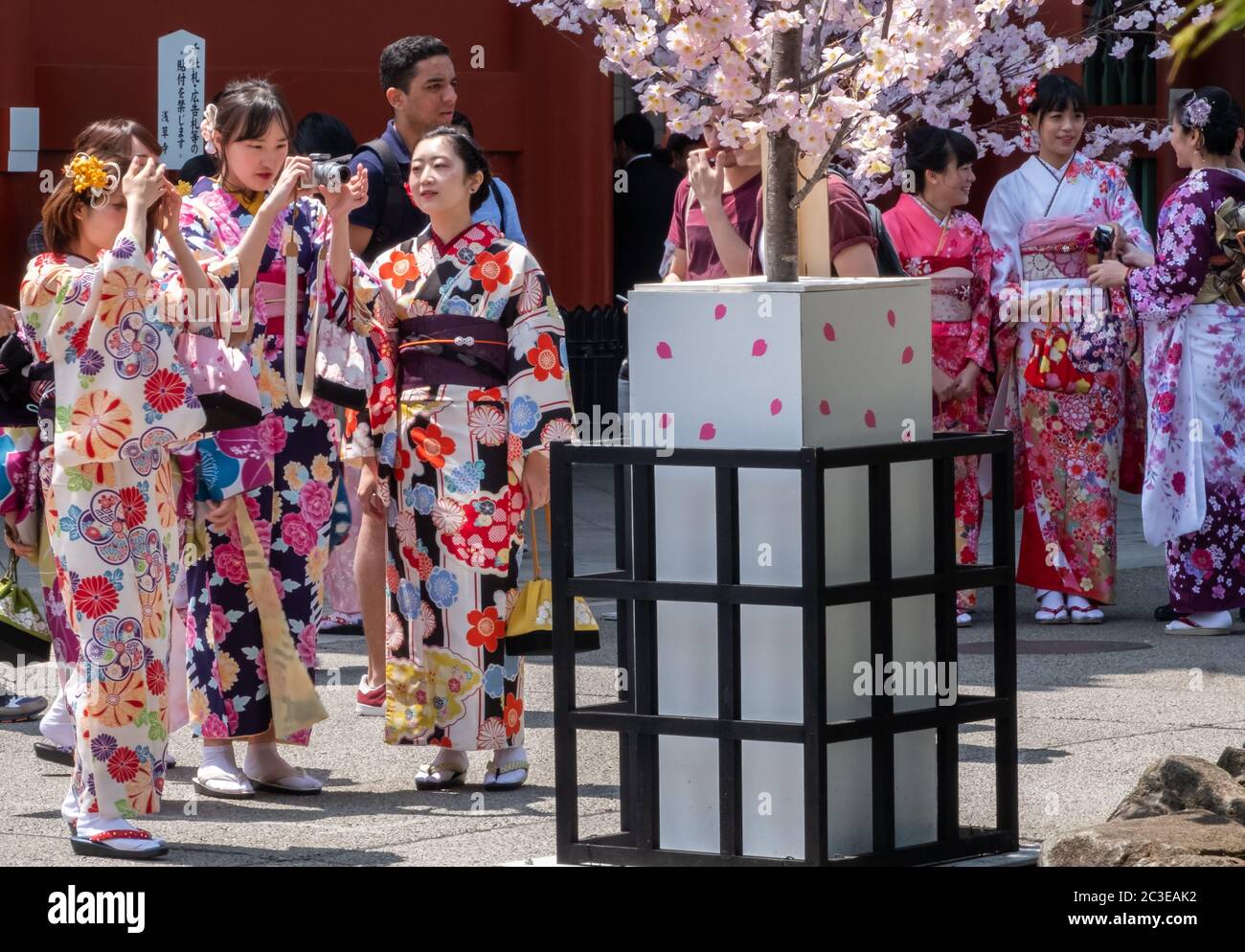 Touristes féminins avec kimono loué au sol du temple Sensoji, Tokyo, Japon. Banque D'Images