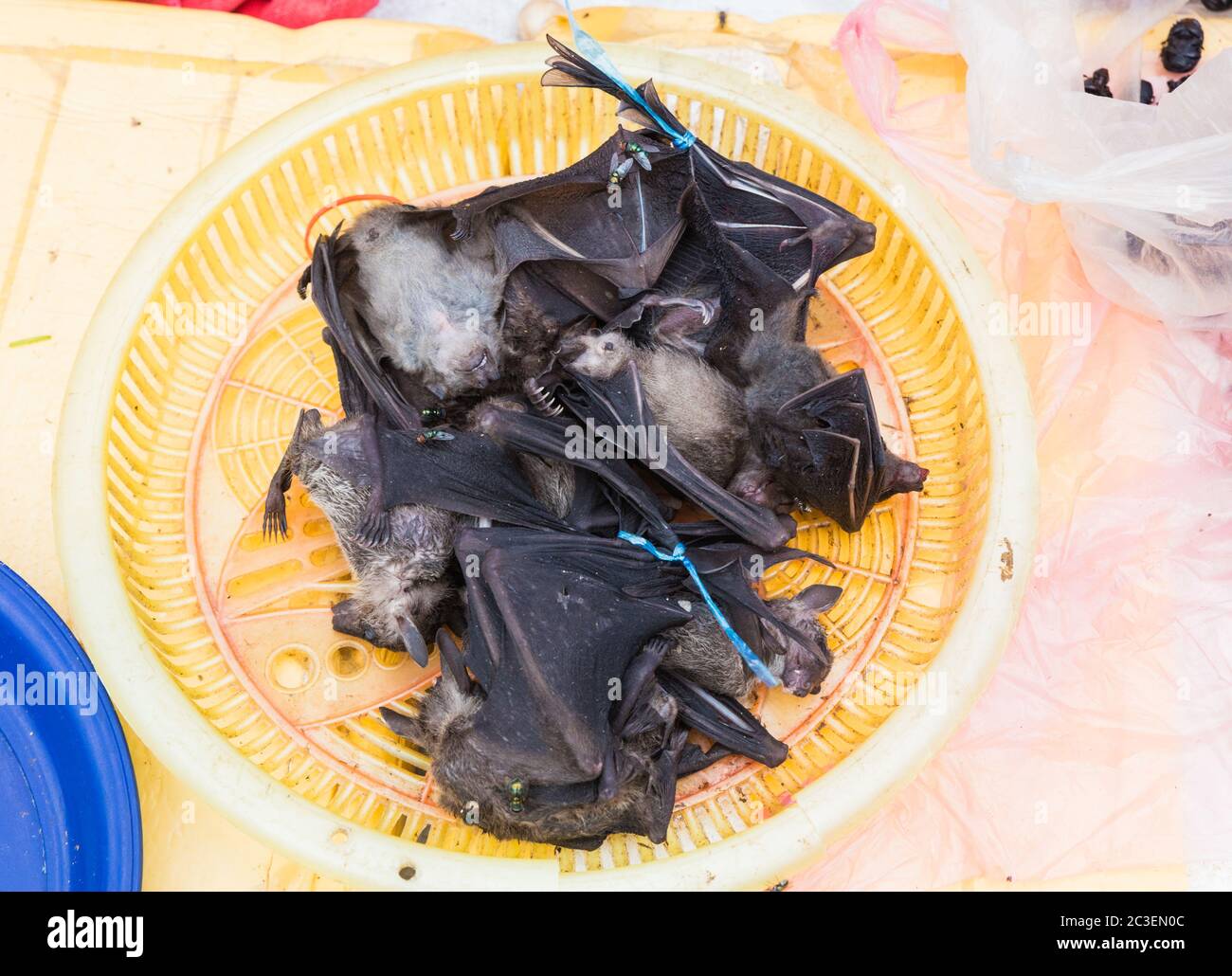 Les chauves-souris au cours du marché Banque D'Images