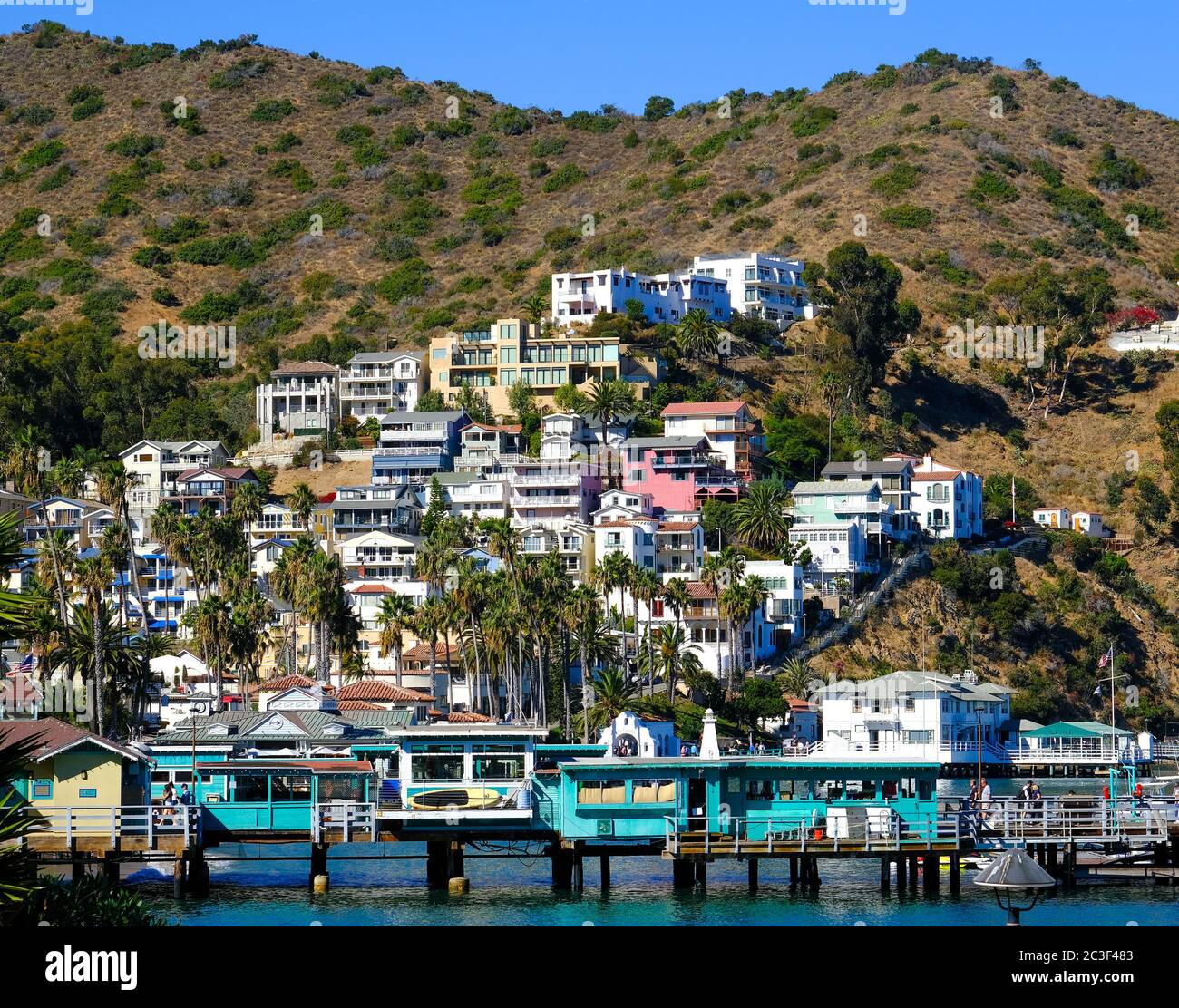 Maisons colorées sur Catalina Hillside Banque D'Images