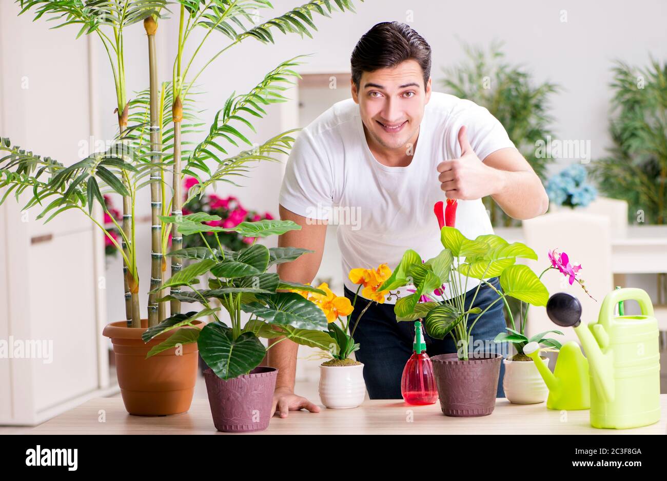 Qui prend soin des plantes à la maison Banque D'Images