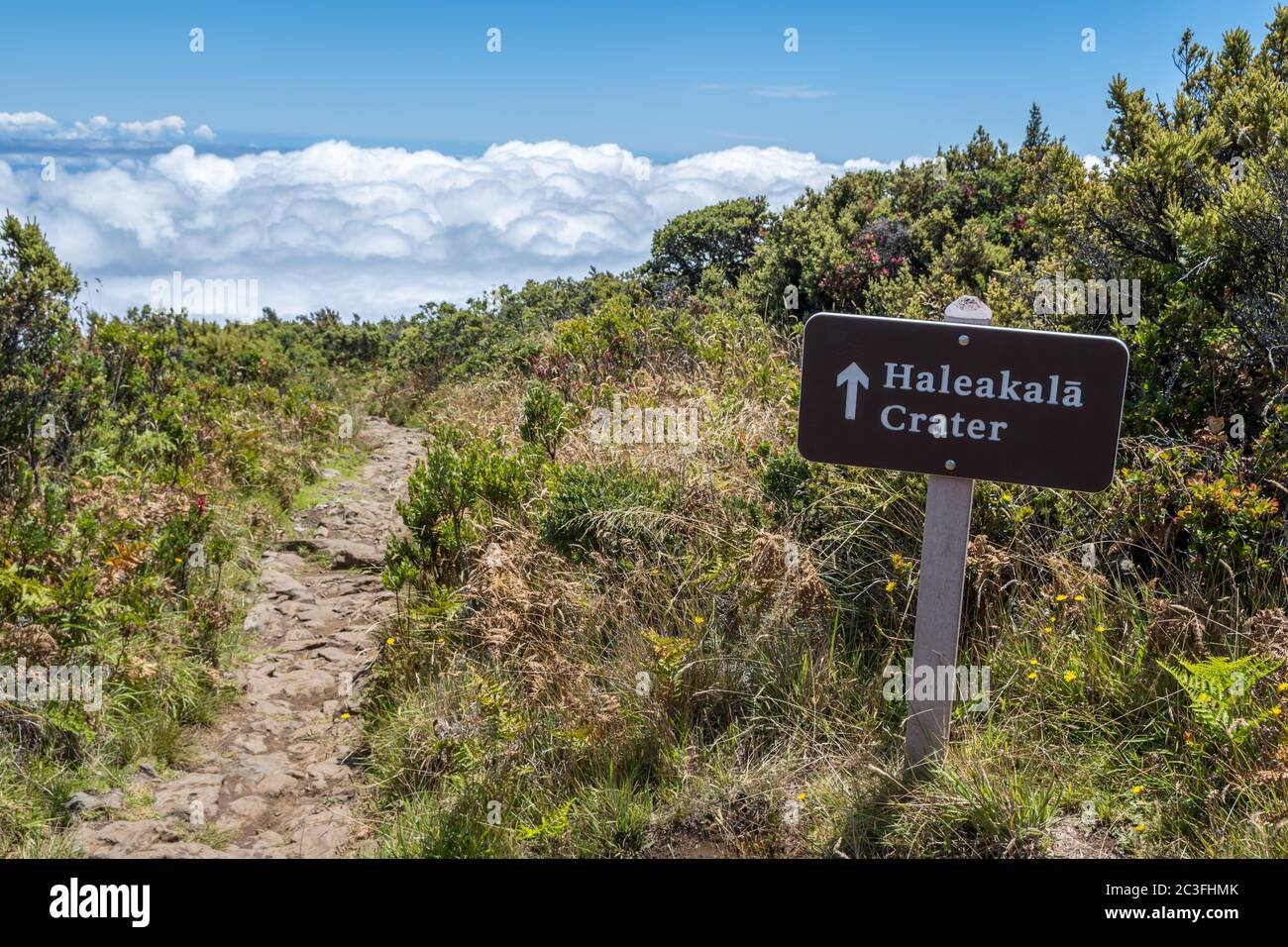 Un tableau de description pour le sentier dans le parc national de Haleakala, Hawaii Banque D'Images