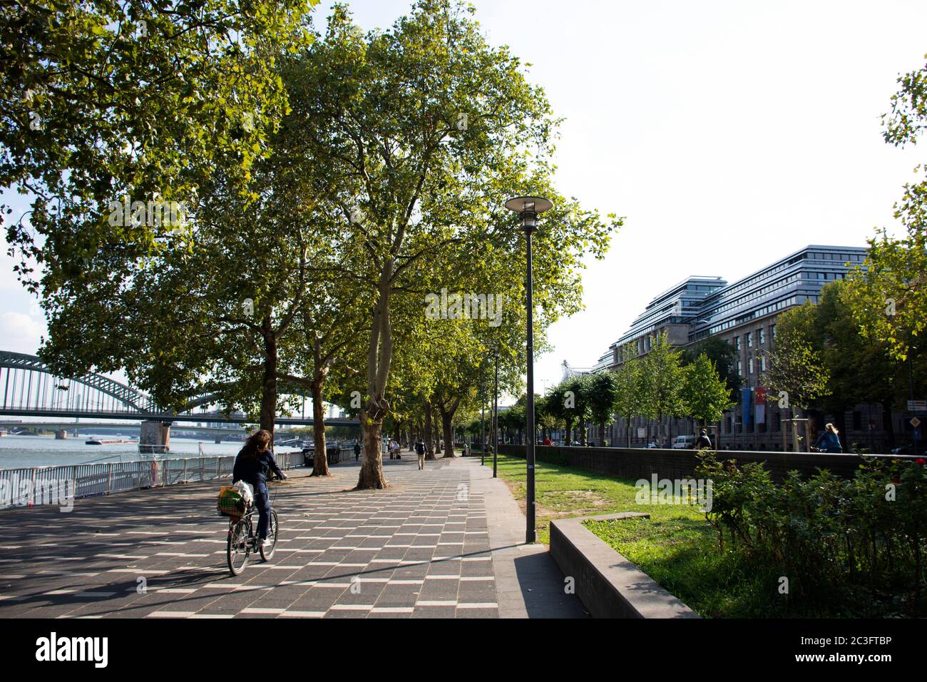 Les Allemands pédalent sur la rue au bord du rhin entre la route konrad adenauer ufer à Koeln le 11 septembre 2017 à Cologne, Germ Banque D'Images