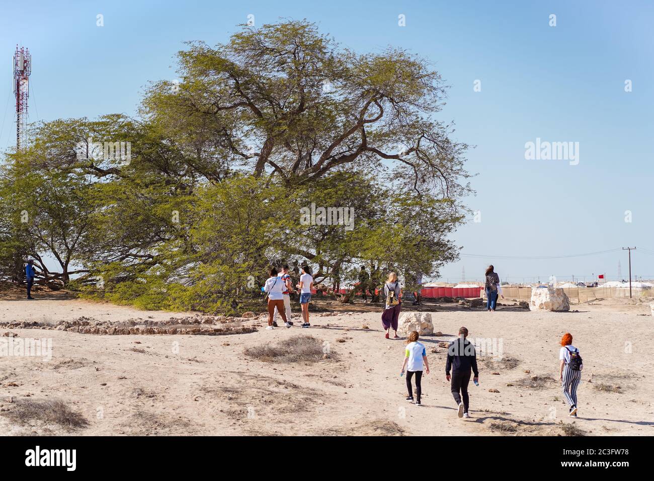 Manama / Bahreïn - 10 janvier 2020 : Groupe touristique visitant l'arbre de vie, un arbre ancien au milieu d'un désert de sable à Bahreïn Banque D'Images