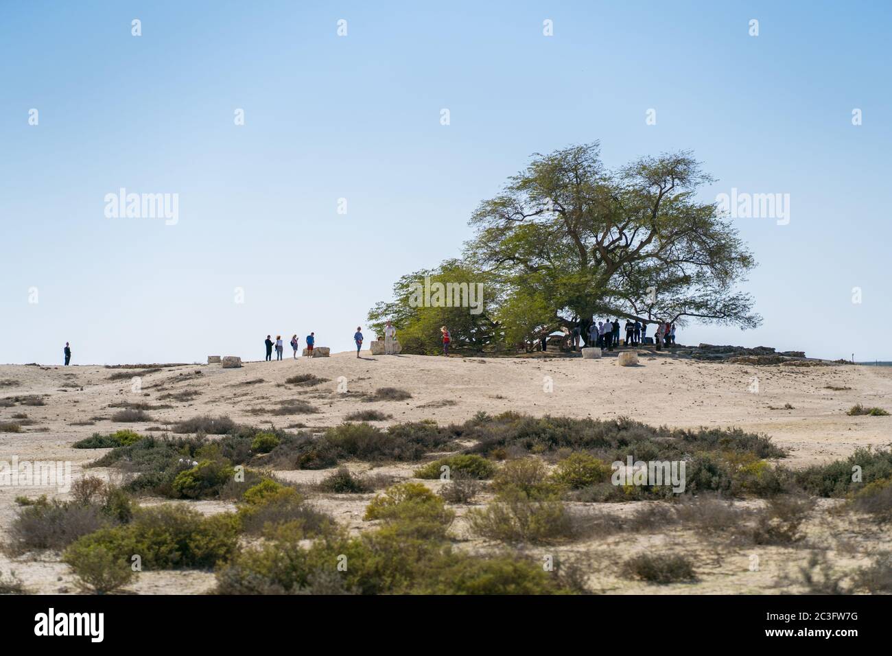 Manama / Bahreïn - 10 janvier 2020 : Groupe touristique visitant l'arbre de vie, un arbre ancien au milieu d'un désert de sable à Bahreïn Banque D'Images