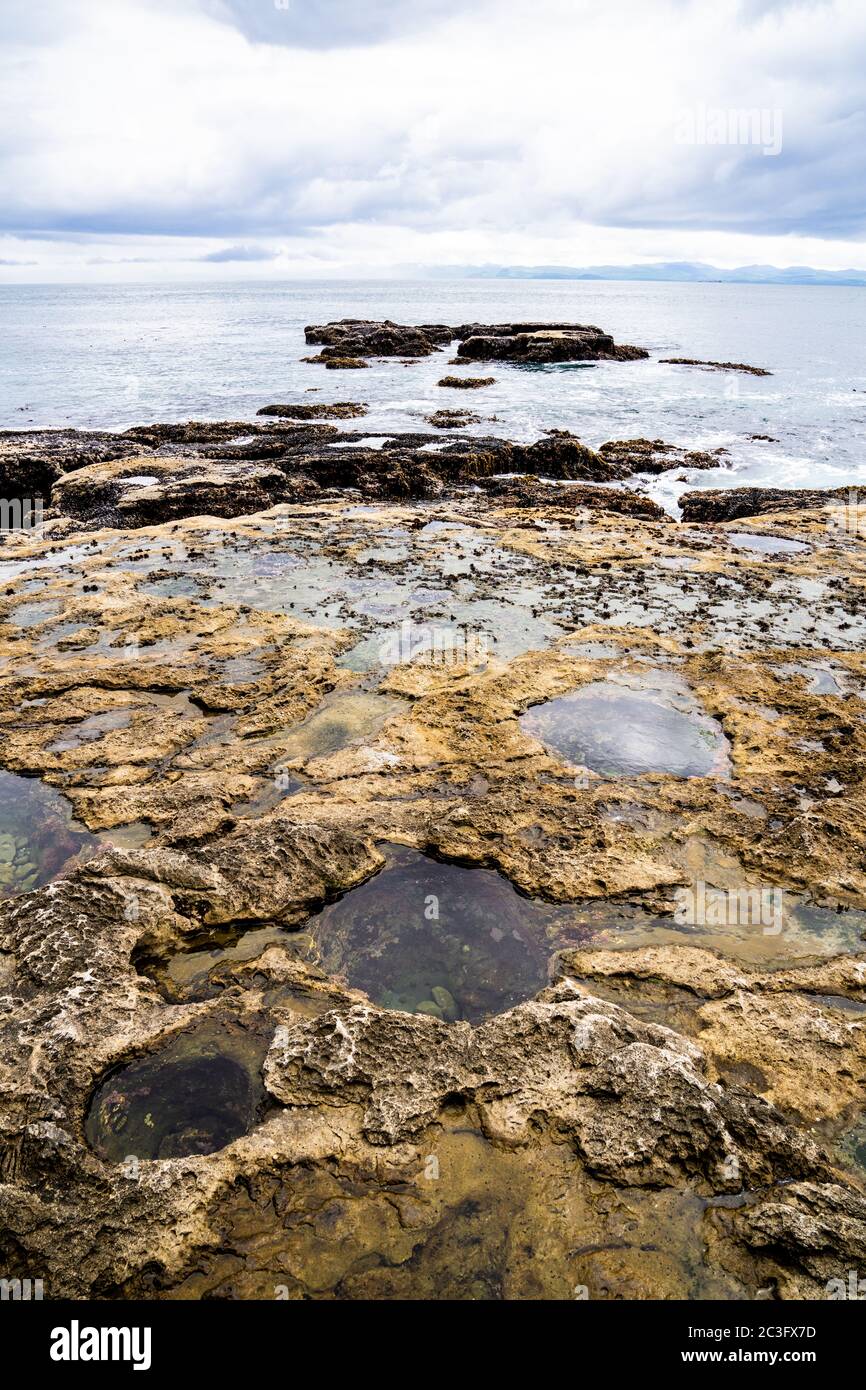 Piscines à marée à Botanical Beach. Port Renfrew, C.-B., Canada. Banque D'Images