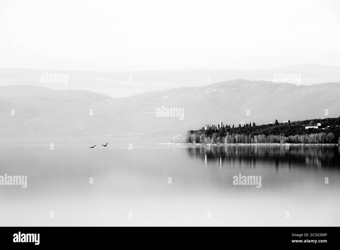 Une vue parfaitement symétrique d'un lac, avec des arbres réflexions sur l'eau Banque D'Images