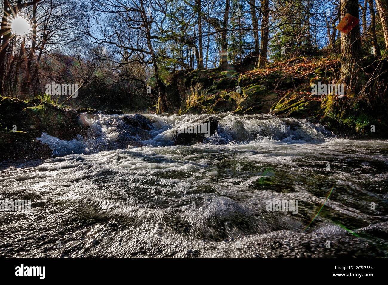 Chute d'eau de Harz Selketal Selke Waterfall Banque D'Images