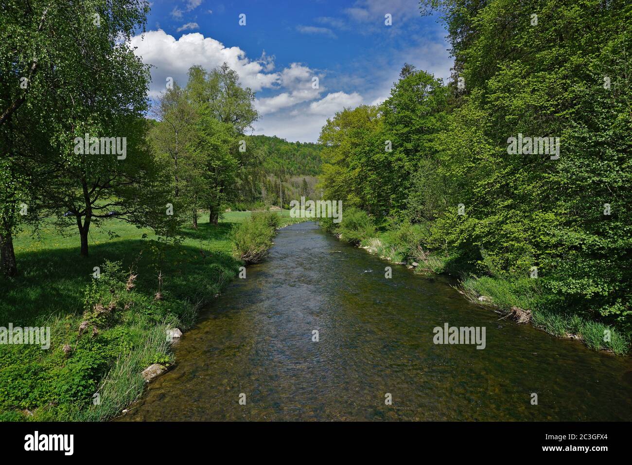 Le Glatt, affluent gauche du Neckar, Forêt-Noire Banque D'Images