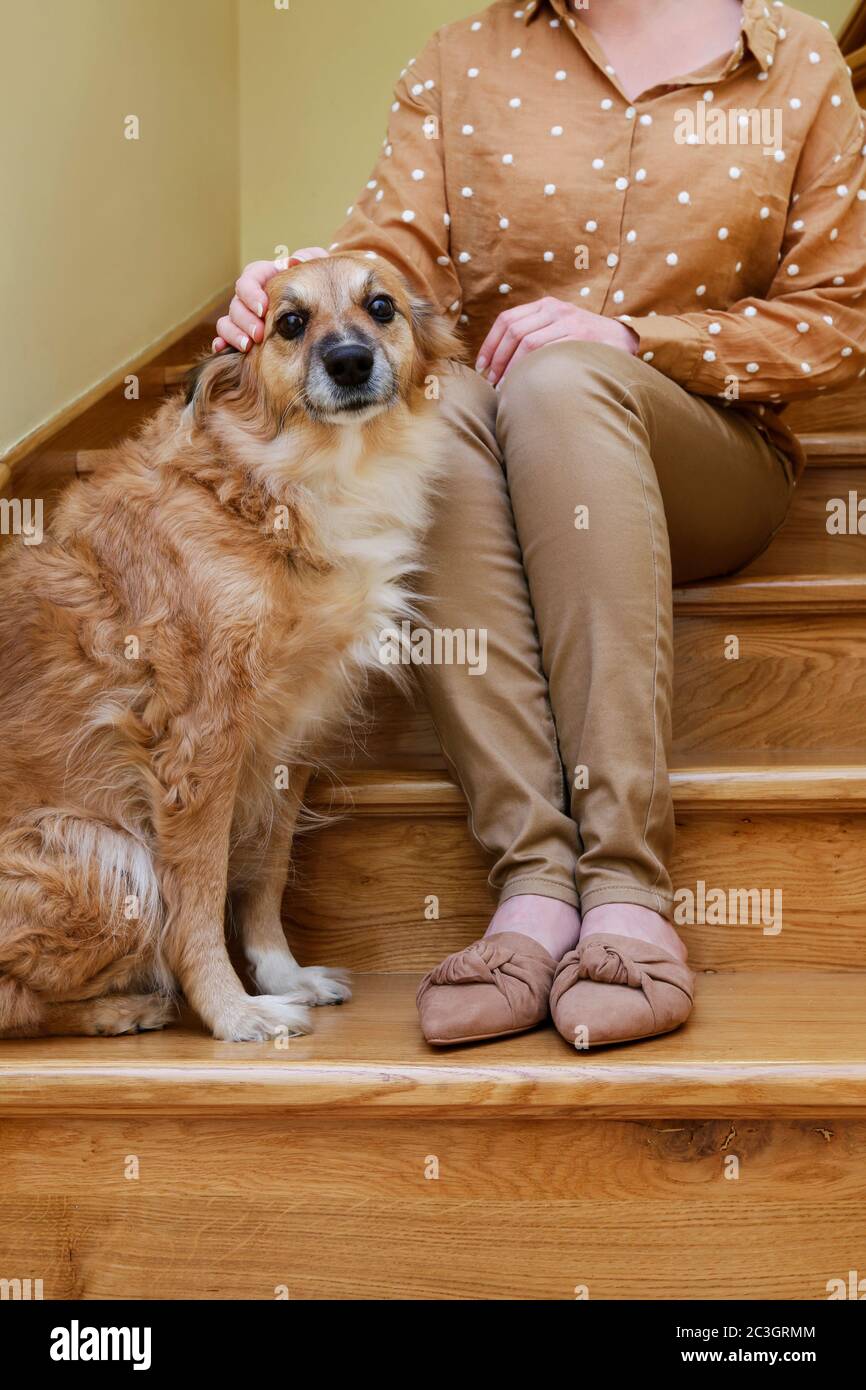 La femme et son chien mignon sont assis ensemble sur les escaliers. Détendez-vous Banque D'Images