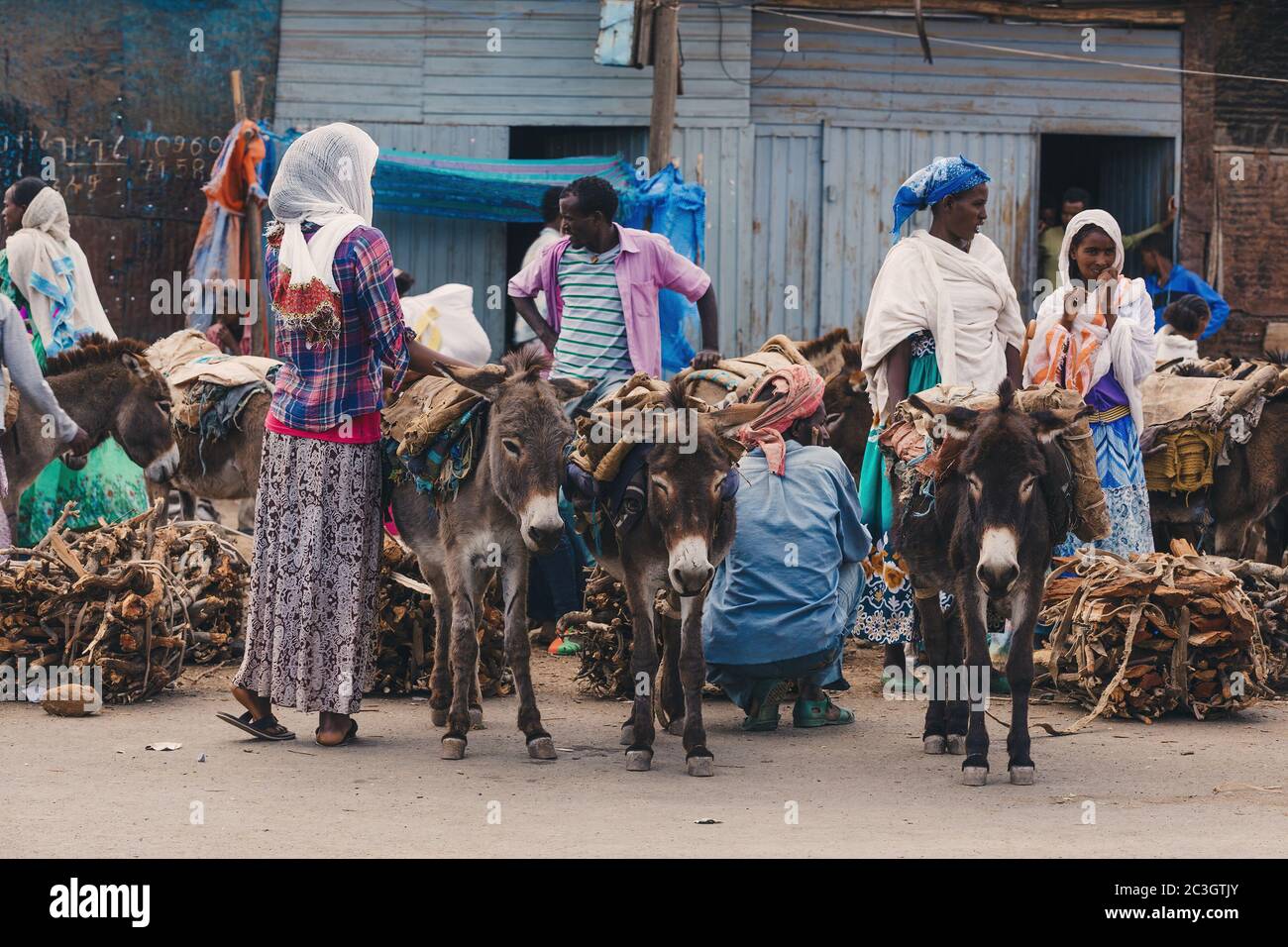 Ethiopiens vendant du bois de chauffage, Éthiopie Afrique Banque D'Images