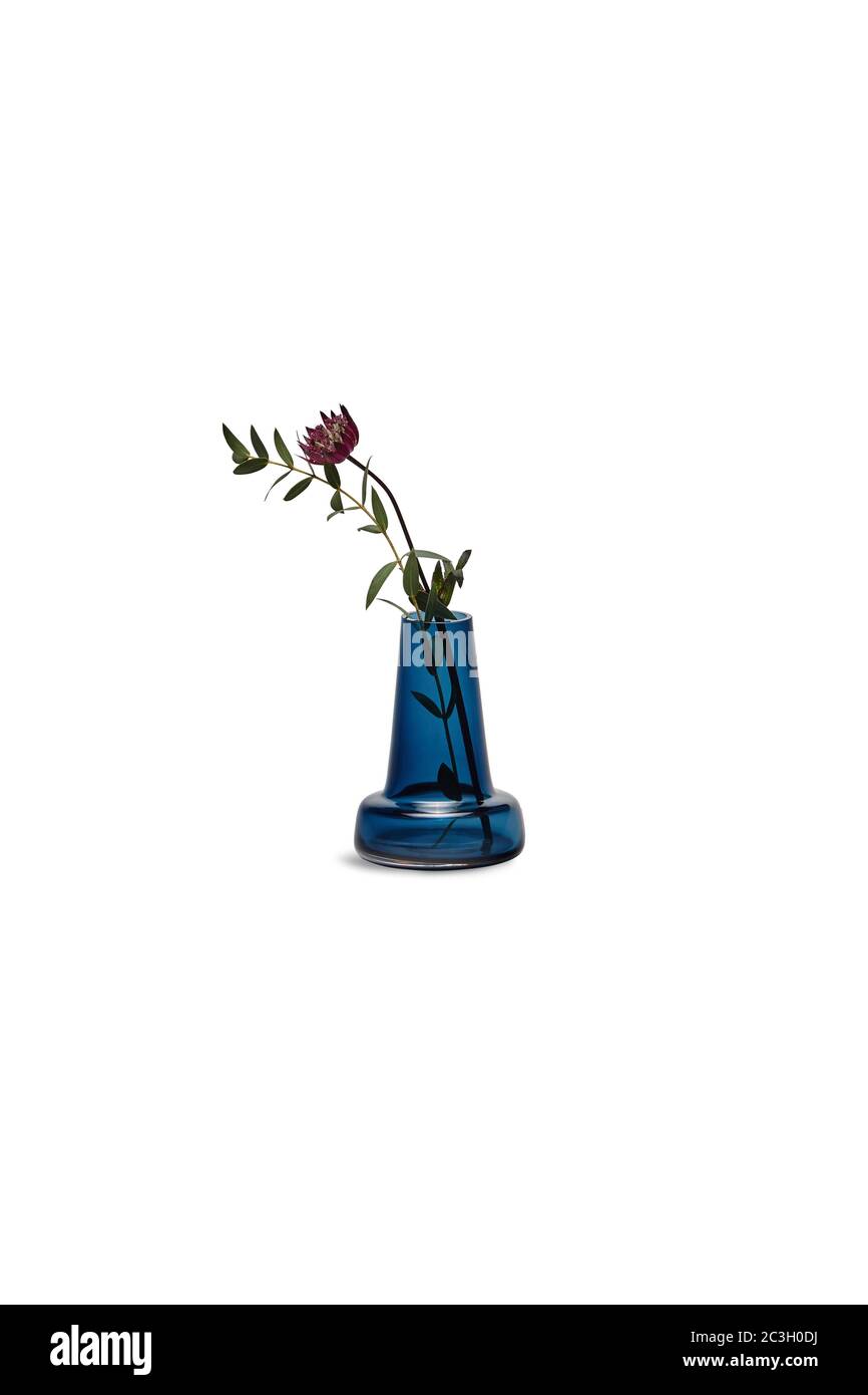 Photo verticale d'un grand chef-d'œuvre dans un verre bleu vase isolé sur fond blanc Banque D'Images