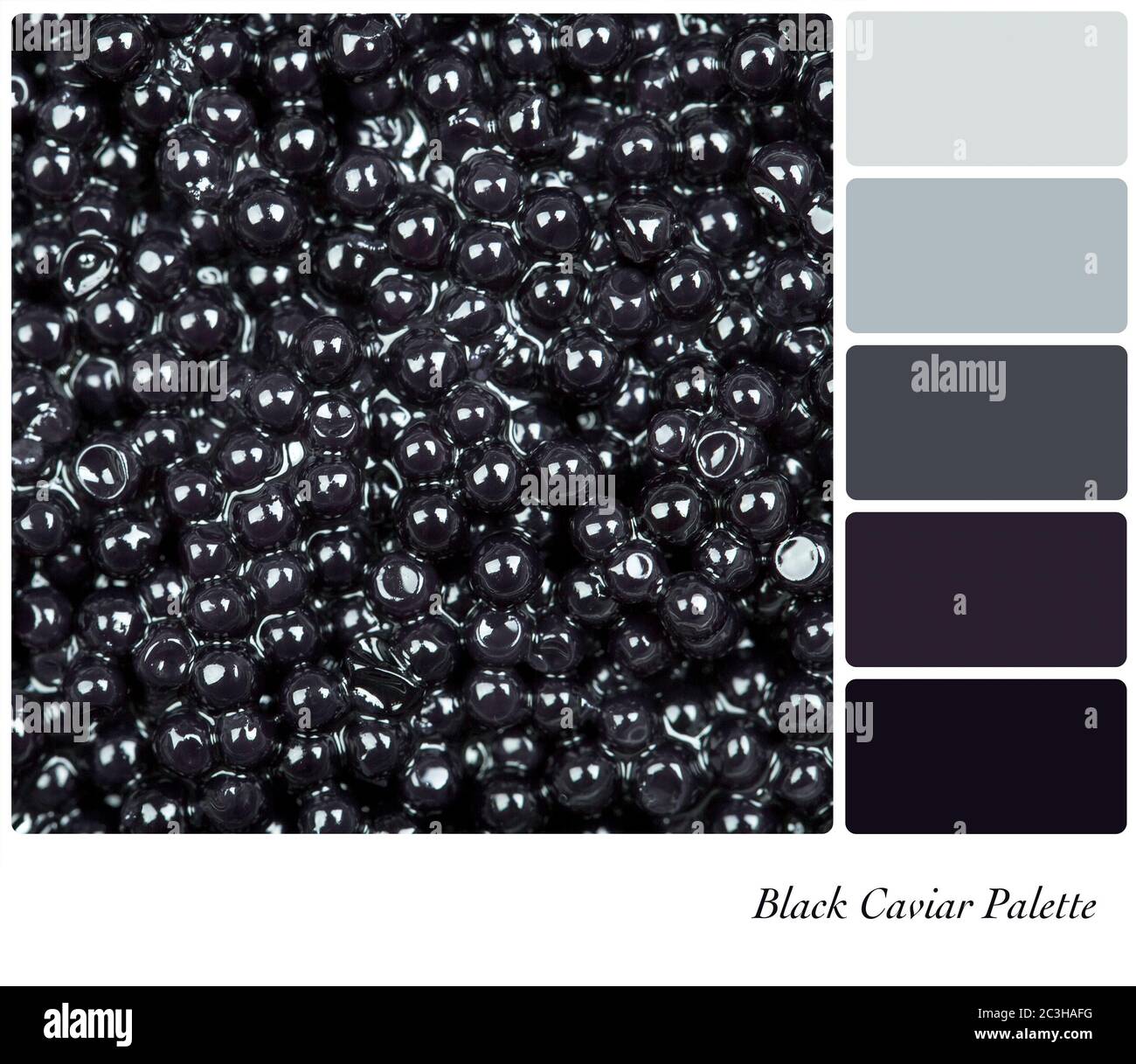 Palette de couleurs avec une texture d'arrière-plan de caviar noir et des nuances de couleurs gratuites. Banque D'Images