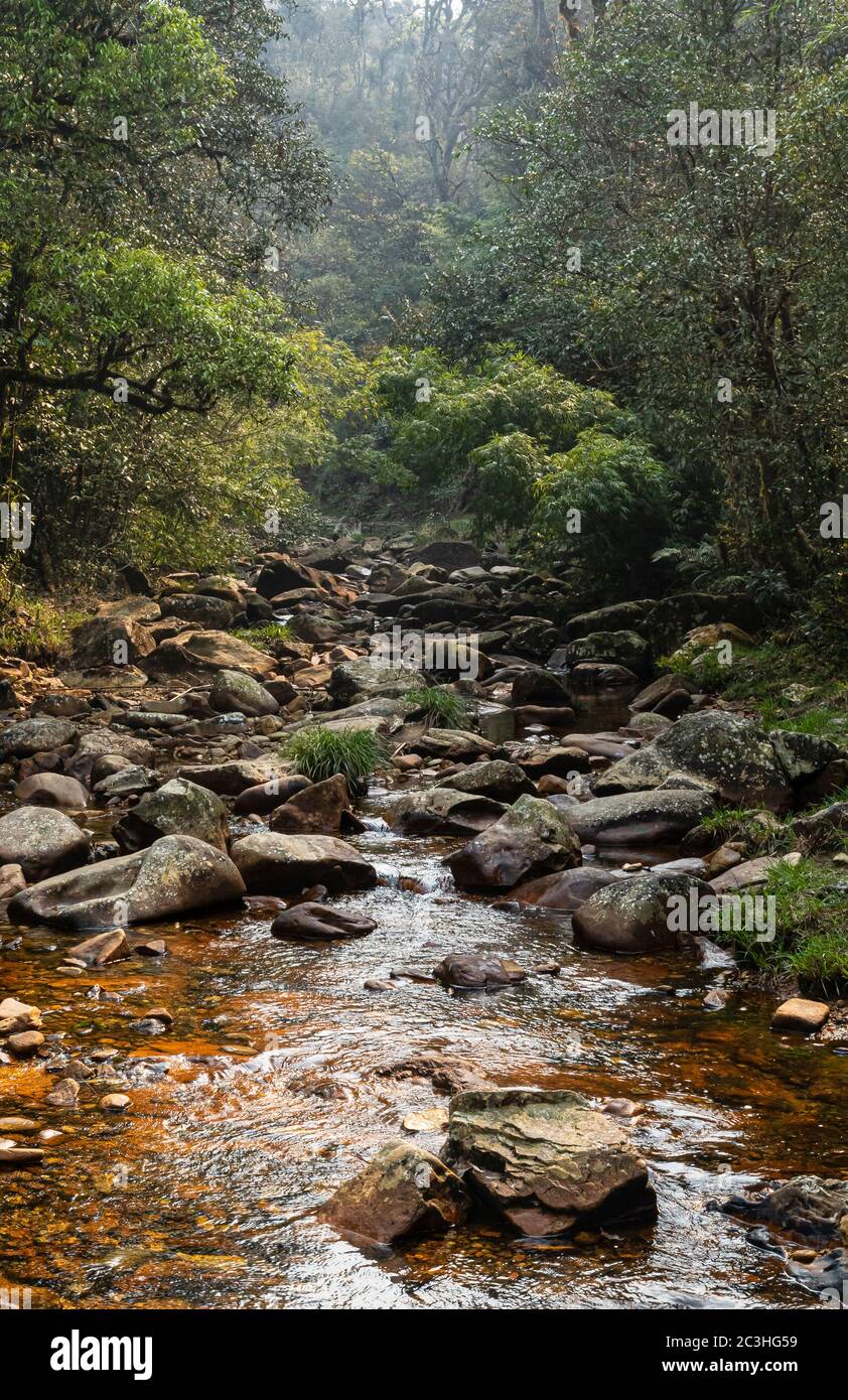 Vue panoramique sur la rivière dans la vallée de la jungle sur la randonnée à la chute d'eau Love (Thác Tình Yêu) à Sapa (sa Pa), Vietnam Banque D'Images