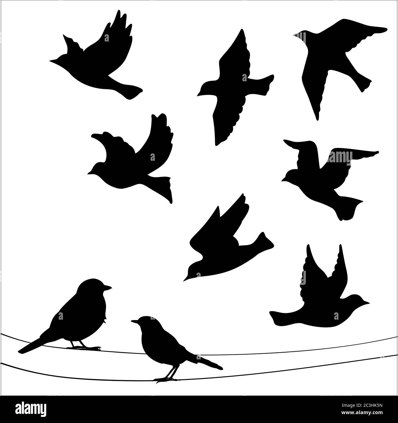 Ensemble de silhouettes d'oiseaux - vol, assis. Illustration de Vecteur
