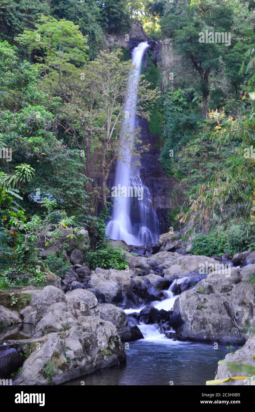 La chute d'eau Gitgit est une cascade sur Bali, en Indonésie. La cascade Gitgit est composée de trois cascades de différentes hauteurs. Banque D'Images