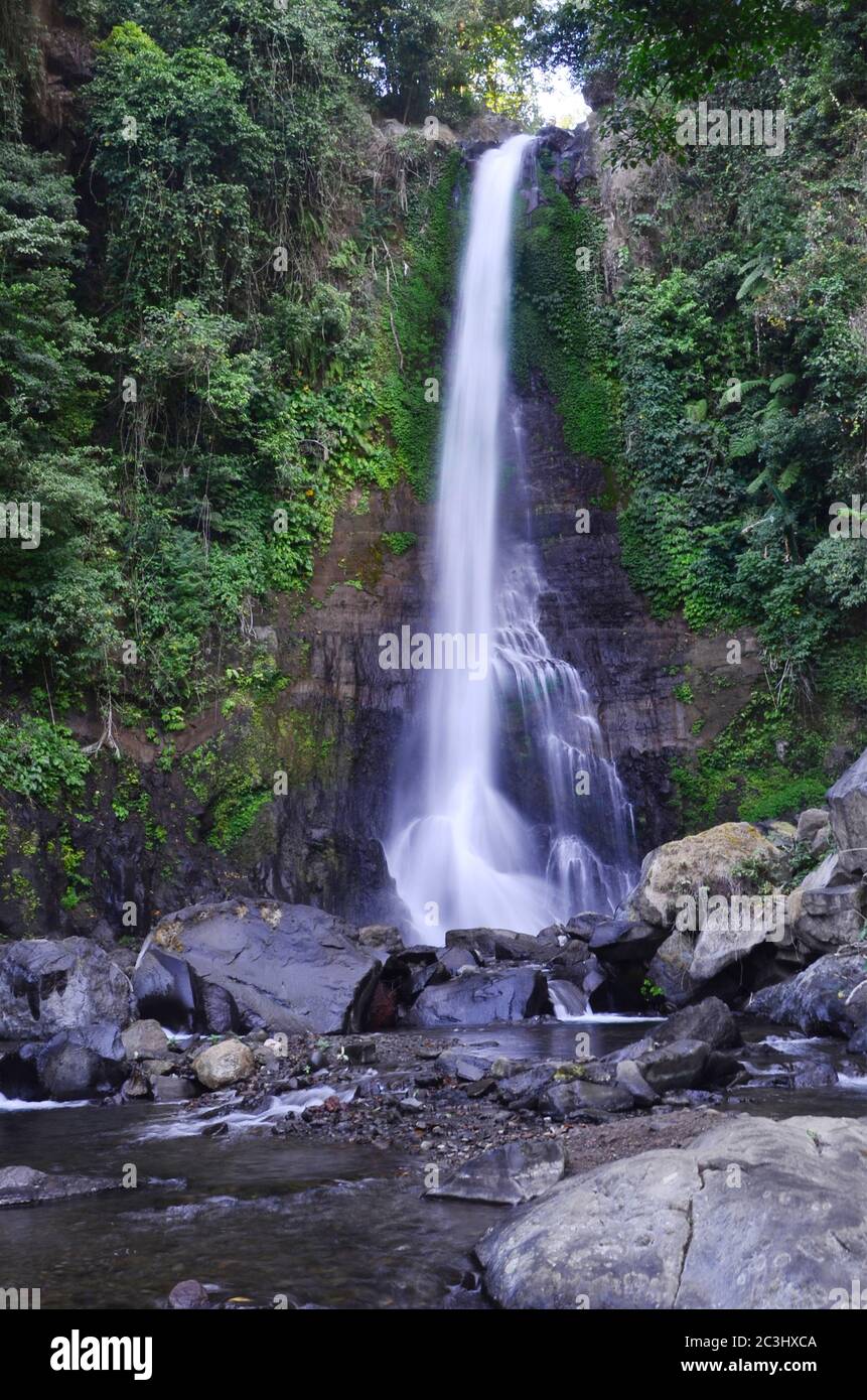 La chute d'eau Gitgit est une cascade sur Bali, en Indonésie. La cascade Gitgit est composée de trois cascades de différentes hauteurs. Banque D'Images