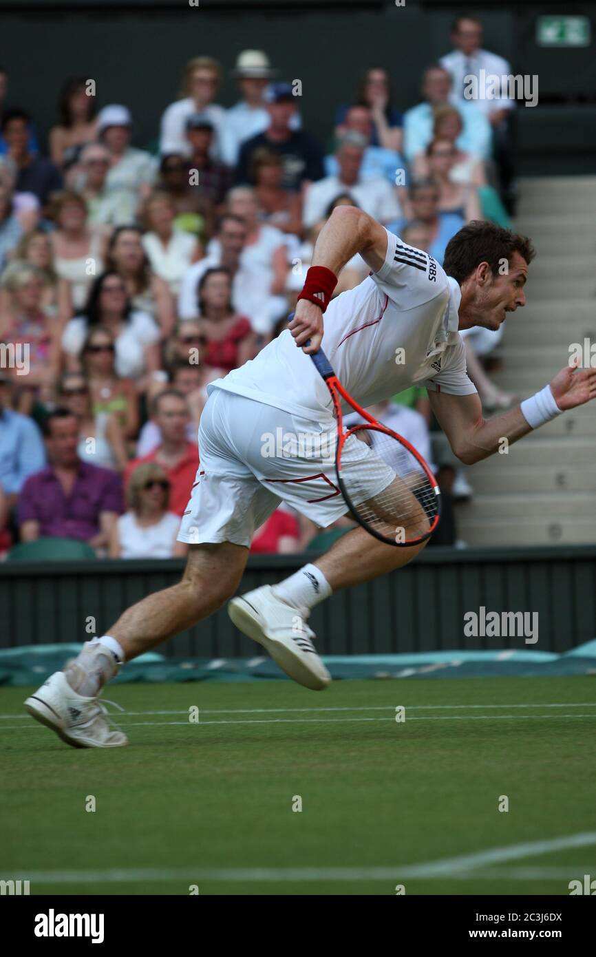 Andy Murray en action lors de son quatrième match contre Sam Querrey à Wimbledon. Banque D'Images
