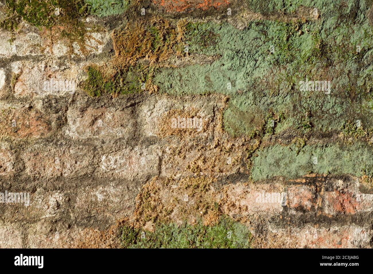 Arrière-plan de mur de briques ancien. Briques rouges recouvertes de mousse verte et de lichen. Banque D'Images