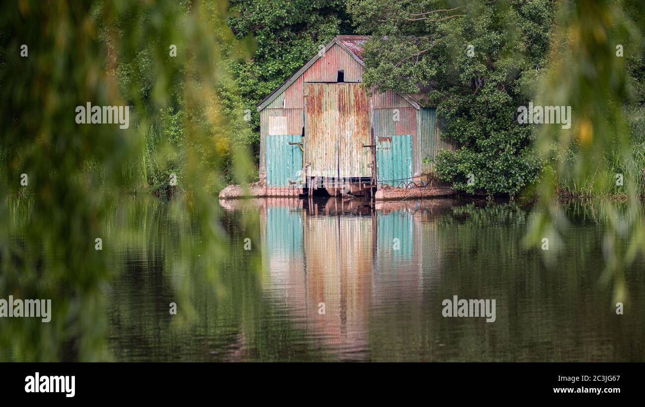 Une vieille maison de bateaux en étain ondulé a été désutilisée entourée d'arbres se tenant au bord de l'eau et se reflétant à la surface Banque D'Images