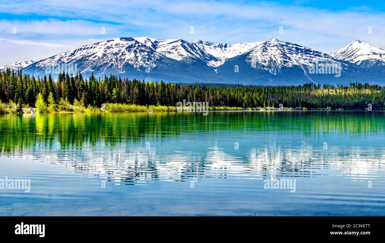 Lac Patricia avec réflexions des sommets enneigés des montagnes Rocheuses dans le parc national Jasper, Alberta, Canada Banque D'Images