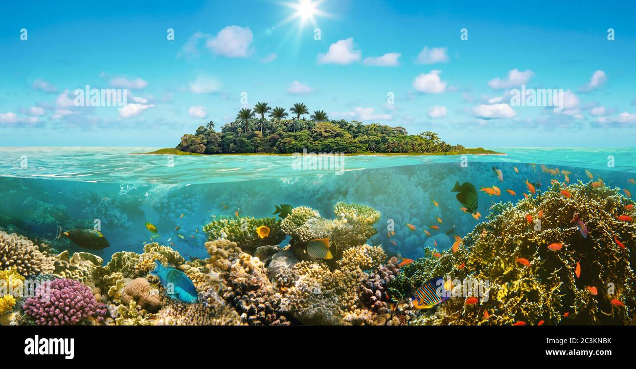 Belle plage tropicale ensoleillée sur l'île paradisiaque et le monde sous-marin avec des poissons de corail. Banque D'Images
