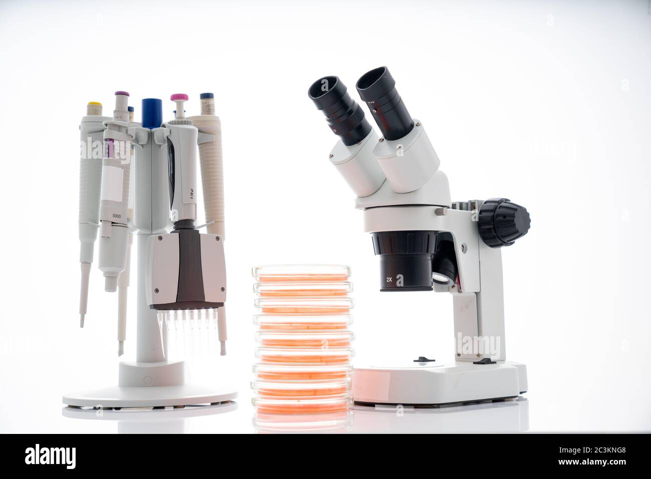 microscope, boîtes de petri et support de pipette par laboratoire microbiologique. La réponse immunitaire de l’organisme de recherche aux aliments pour aider à fournir des conseils sur ce que t Banque D'Images