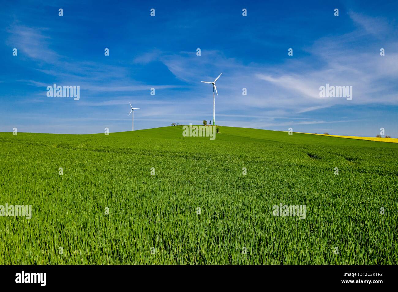 Paysage agricole avec deux éoliennes au loin Banque D'Images