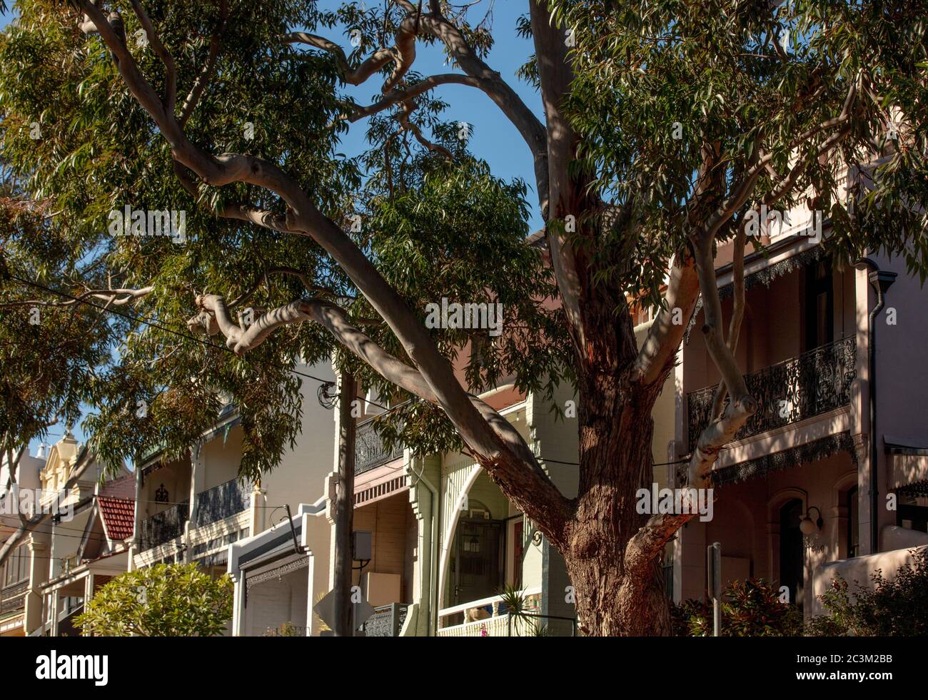 Les rues de Balmain, Sydney Banque D'Images