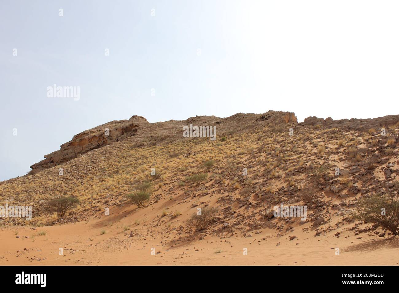 Fossil Rock est une formation de roche emblématique qui porte des fossiles marins dans les dunes de sable arides du désert à Sharjah, aux Émirats arabes Unis. Banque D'Images
