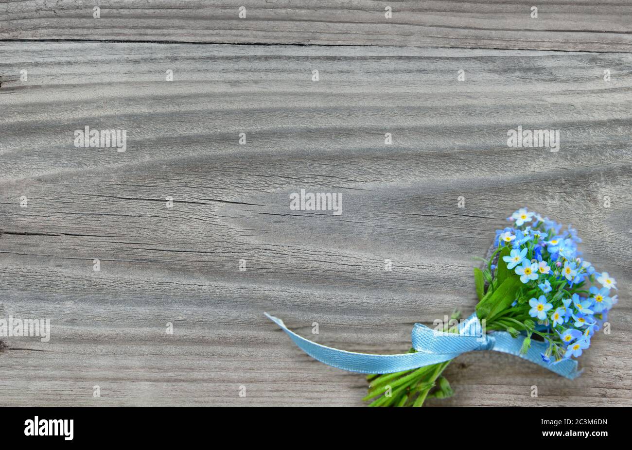 Petit bouquet de fleurs bleues Forget-me-Not, attaché un ruban bleu, sur fond gris de la vieille planche en bois, avec espace de copie Banque D'Images