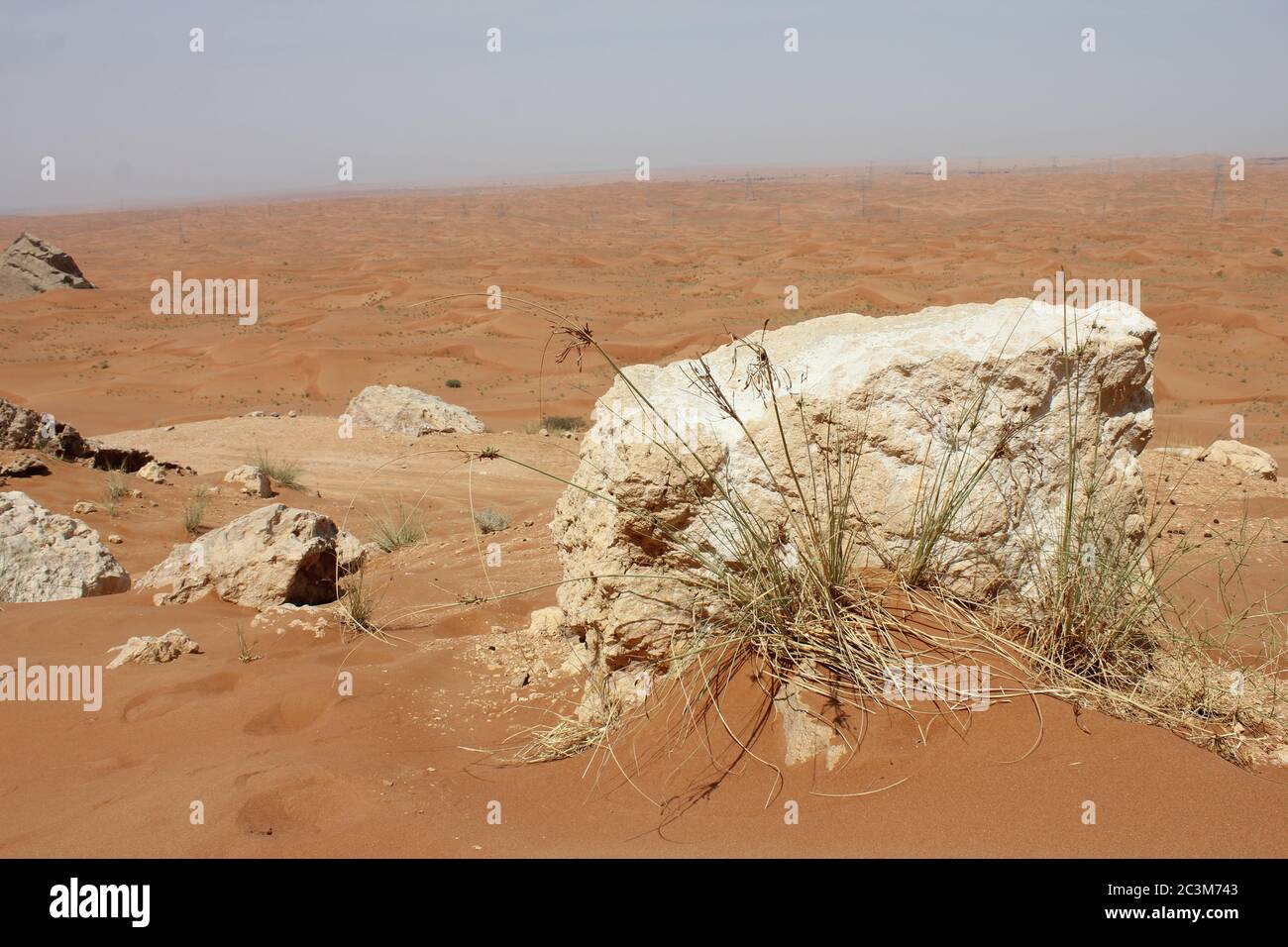 Fossil Rock est une formation de roche emblématique qui porte des fossiles marins dans les dunes de sable arides du désert à Sharjah, aux Émirats arabes Unis. Banque D'Images