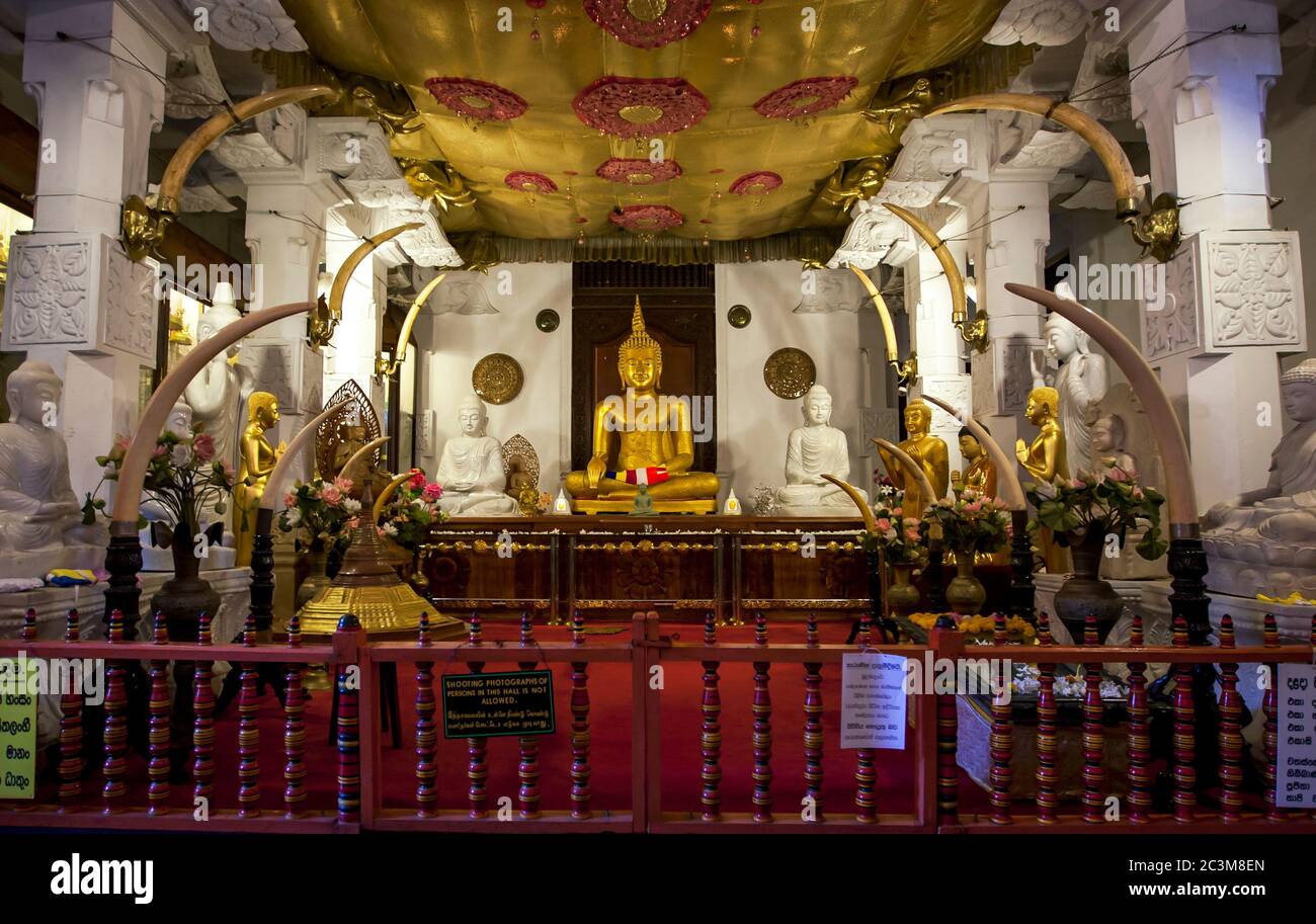 Statue de Bouddha assise dorée dans l'Alut Maligiwa (Nouveau Temple) au Temple de la Lélique sacrée des dents. Banque D'Images