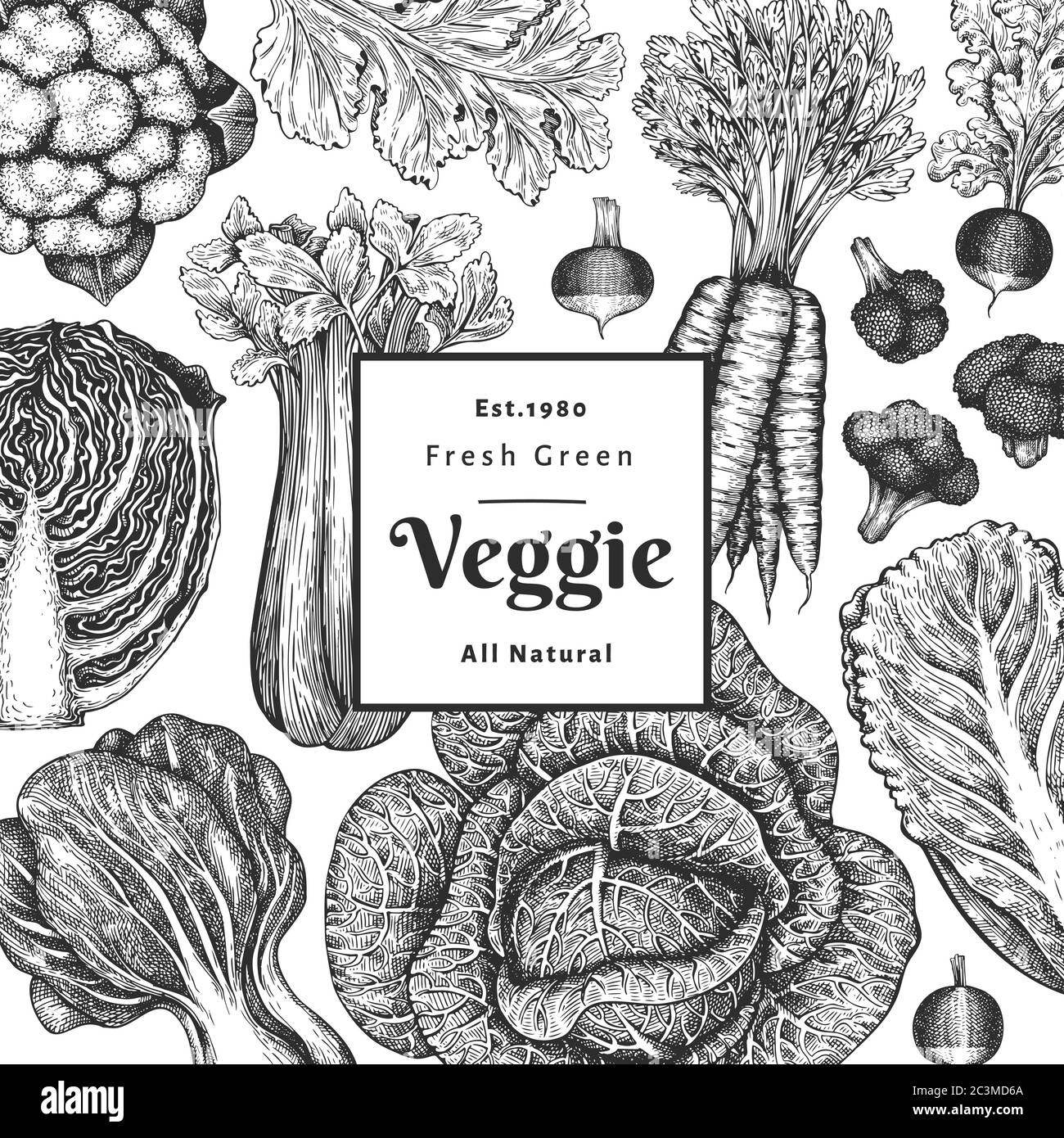 Motif légumes dessinés à la main. Modèle de bannière vectorielle d'aliments frais biologiques. Arrière-plan de légumes vintage. Illustrations botaniques de style gravé. Illustration de Vecteur