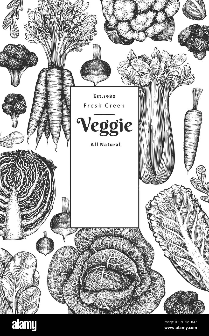 Motif légumes dessinés à la main. Modèle de bannière vectorielle d'aliments frais biologiques. Arrière-plan de légumes vintage. Illustrations botaniques de style gravé. Illustration de Vecteur
