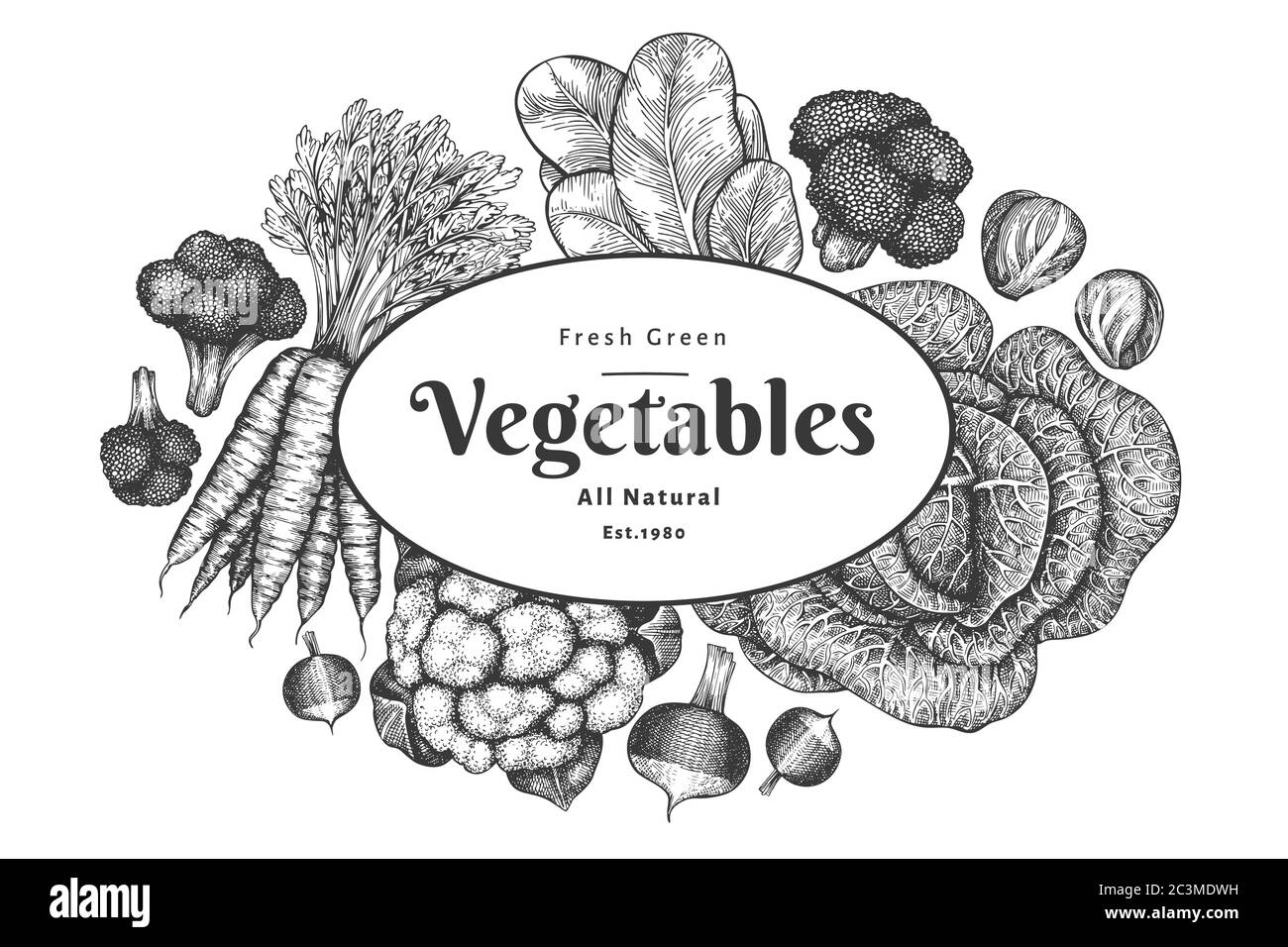 Motif légumes dessinés à la main. Modèle de bannière vectorielle d'aliments frais biologiques. Arrière-plan de légumes vintage. Illustrations botaniques de style gravé. Illustration de Vecteur