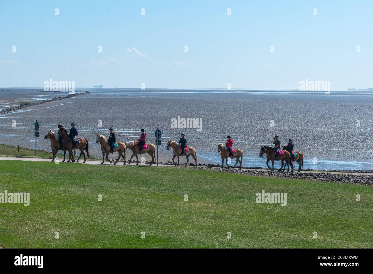 Des cavaliers du continent traversent la mer de wadden jusqu'à l'île de Neuwerk, Etat fédéral Hambourg, Allemagne du Nord, Europe, patrimoine mondial de l'UNESCO, Banque D'Images