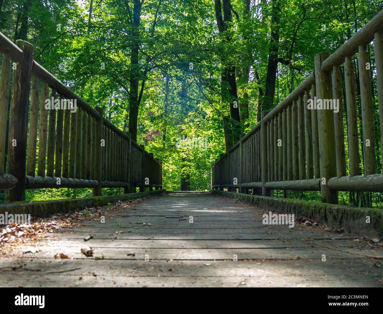 Perspective décroissante d'un pont en bois dans une forêt Banque D'Images
