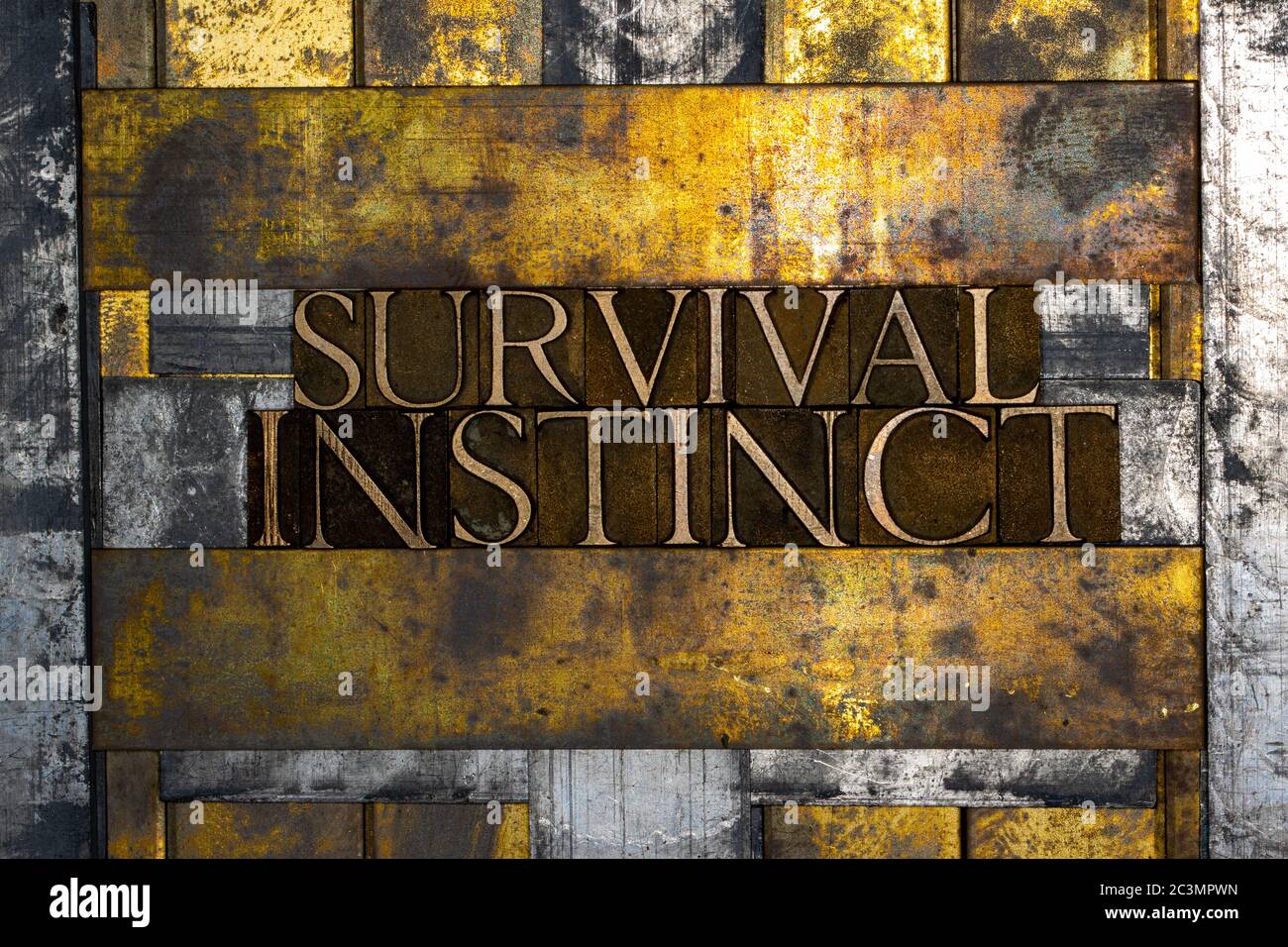 Survival instinct texte formé avec de vraies lettres authentiques sur fond de cuivre et or texturé vintage argent grunge Banque D'Images