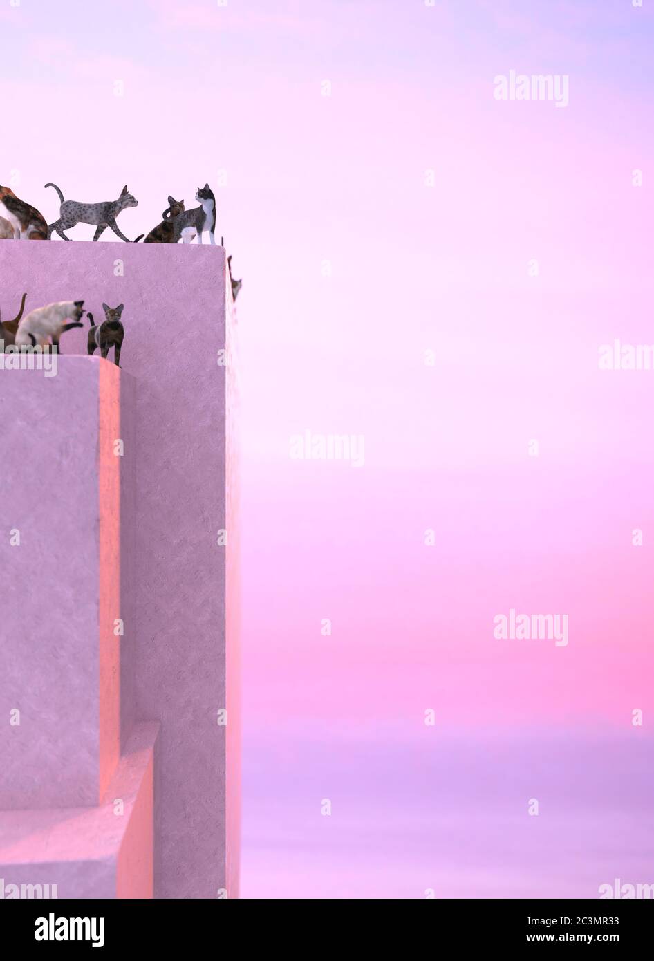 Beaucoup de chats errants marchant sur le toit de bâtiment rose sur un fond de coucher de soleil rose et violet. Illustration verticale avec espace de copie. Rendu 3D Banque D'Images