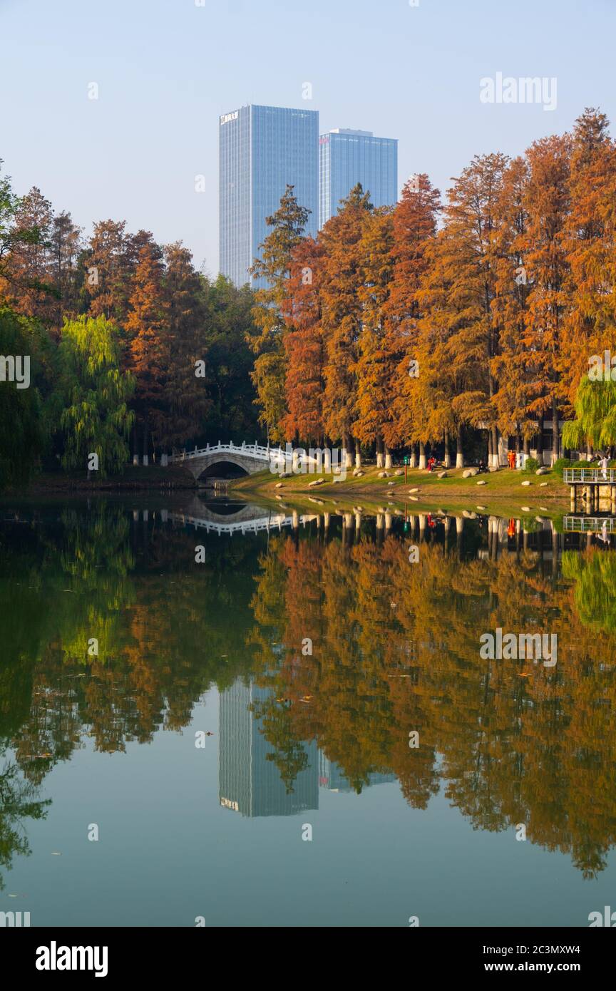 Parc de la libération paysage aérien de la fin de l'automne à Wuhan, Hubei, Chine Banque D'Images