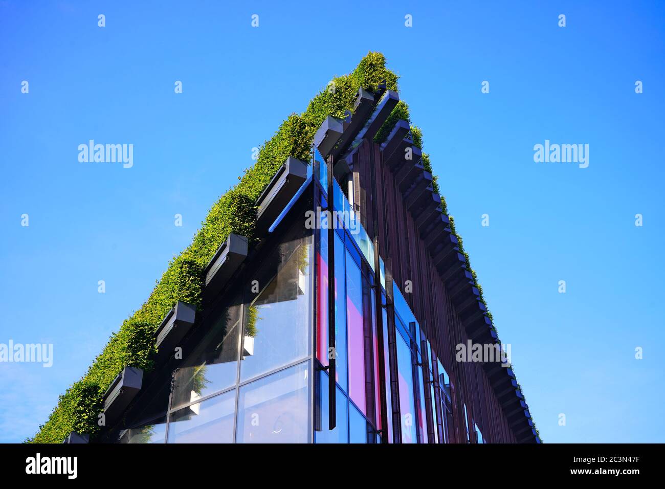 Détail d'un bâtiment qui a été couvert par Ingenhoven Architects avec des haies de charme. Le projet de la ville de la région de la ville est le projet de rendre la ville plus verte. Banque D'Images
