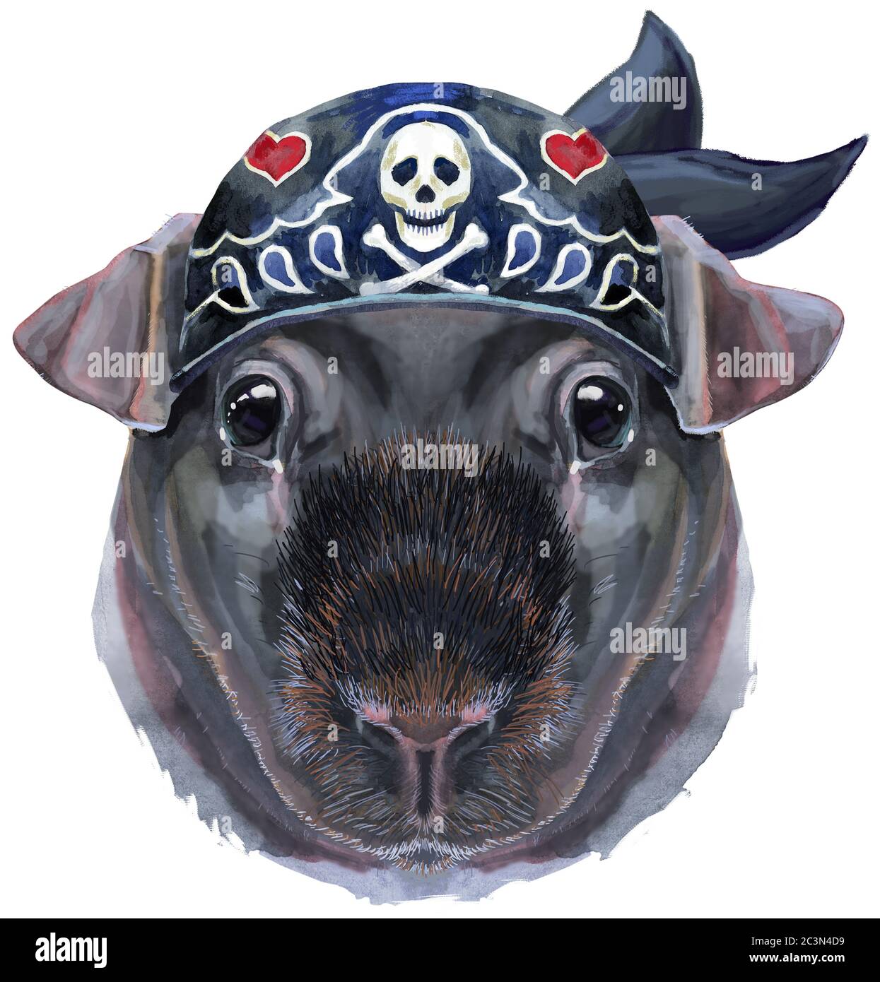 Cavy mignon dans un bandana de motard. Pig pour motifs T-shirt. Illustration de cochon d'Inde moulant aquarelle Banque D'Images