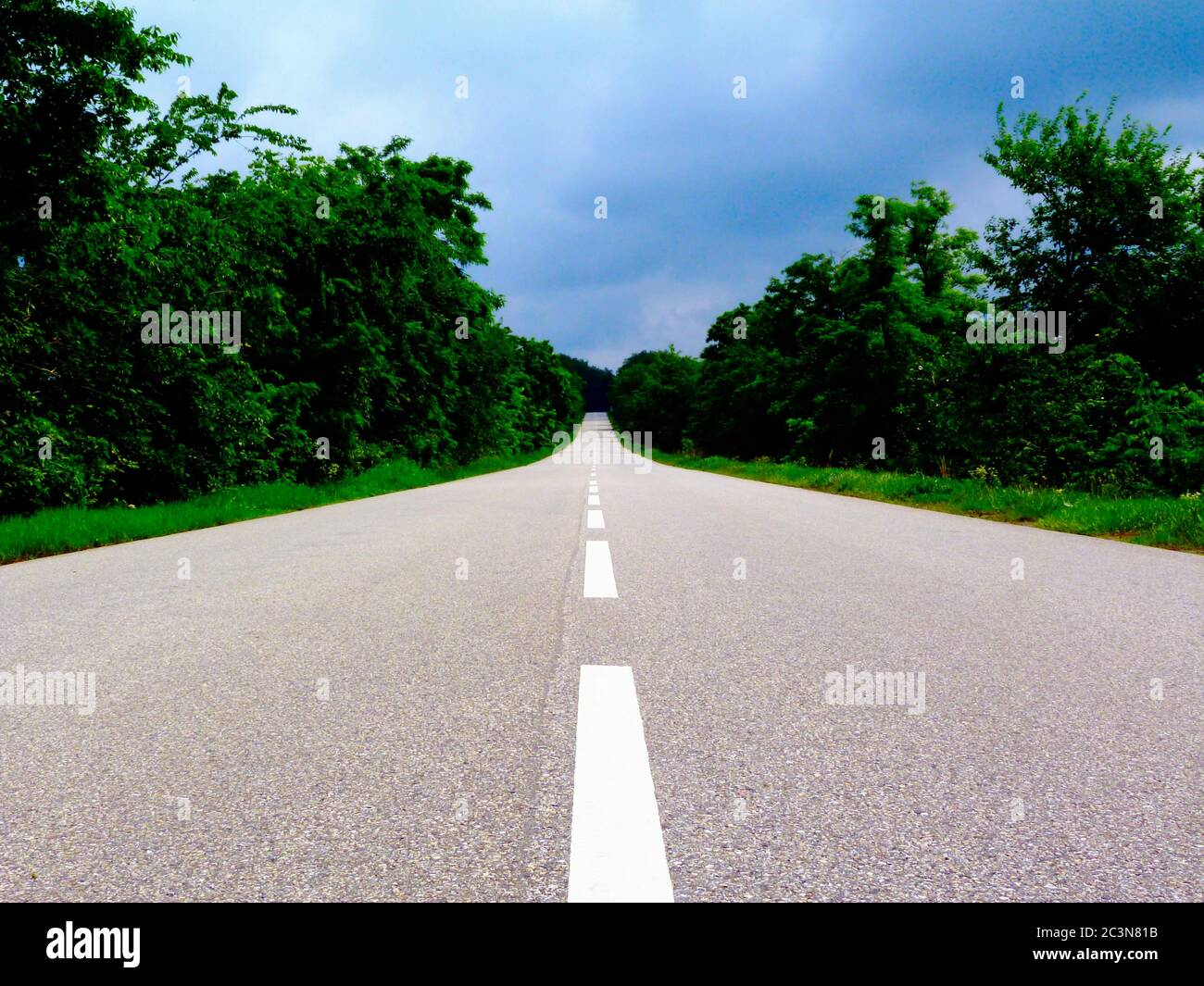 Route asphaltée texturée grise. Perspective décroissante d'un point avec des arbres verts le long de la route et du ciel bleu. Scène d'été. Concept de voyage Banque D'Images
