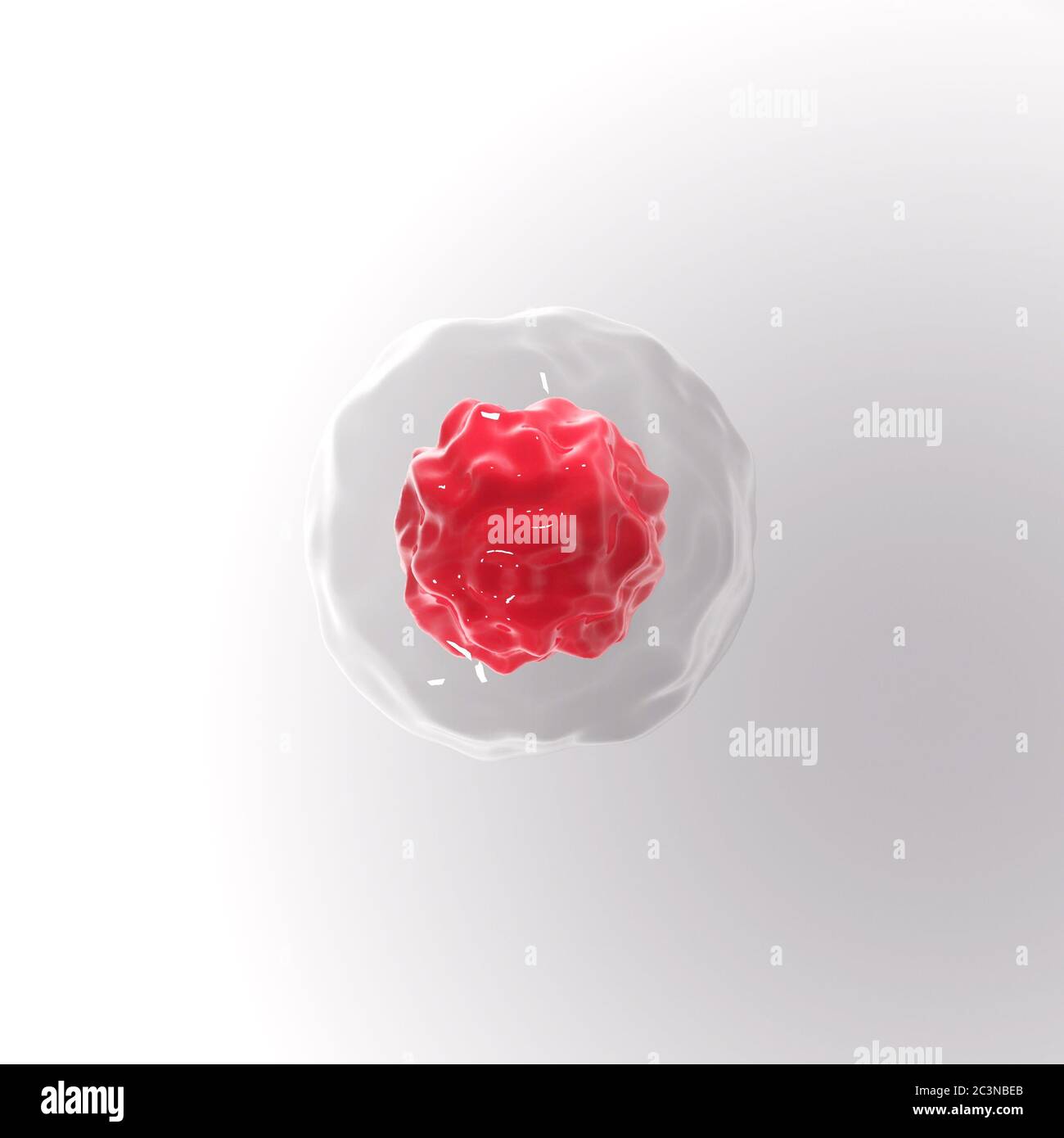 rendu 3d des globules rouges avec membrane isolée sur fond blanc. Banque D'Images