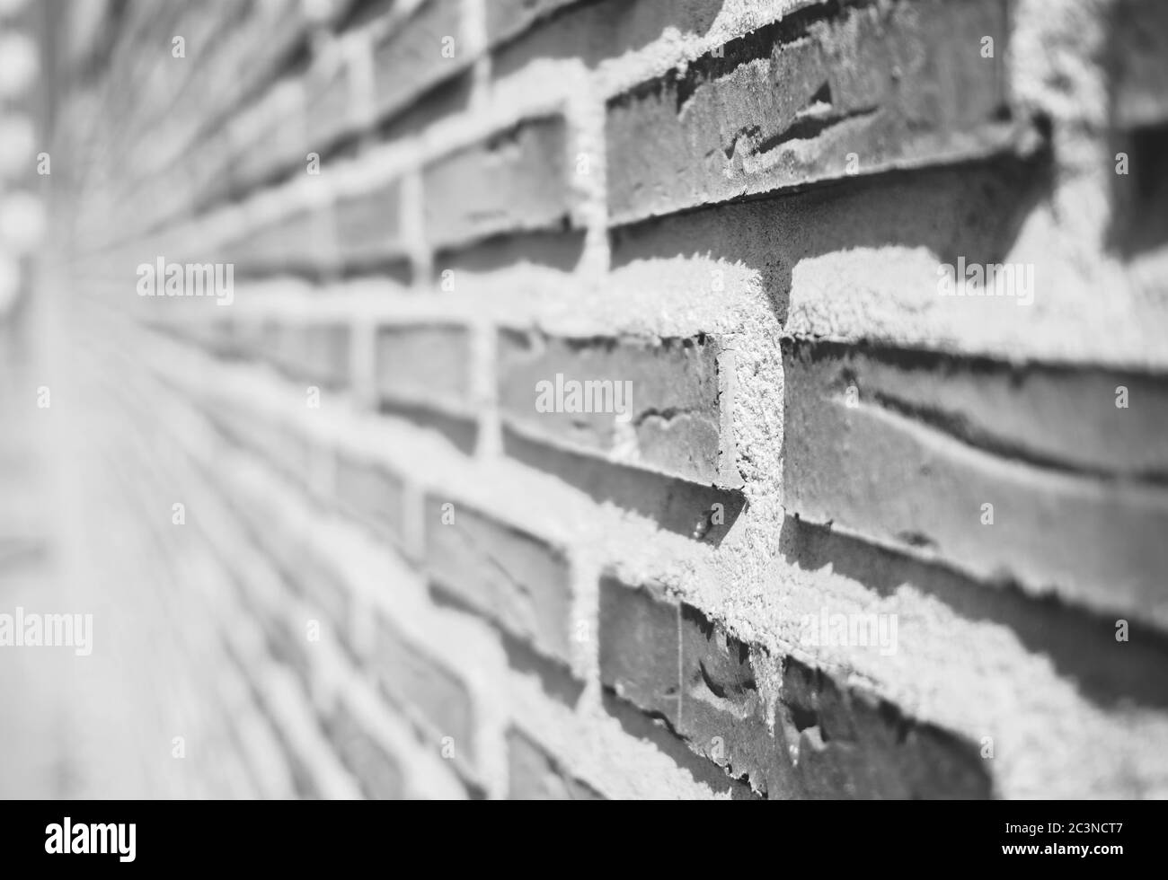 Prise de vue en niveaux de gris d'un mur de briques avec un flou arrière-plan Banque D'Images