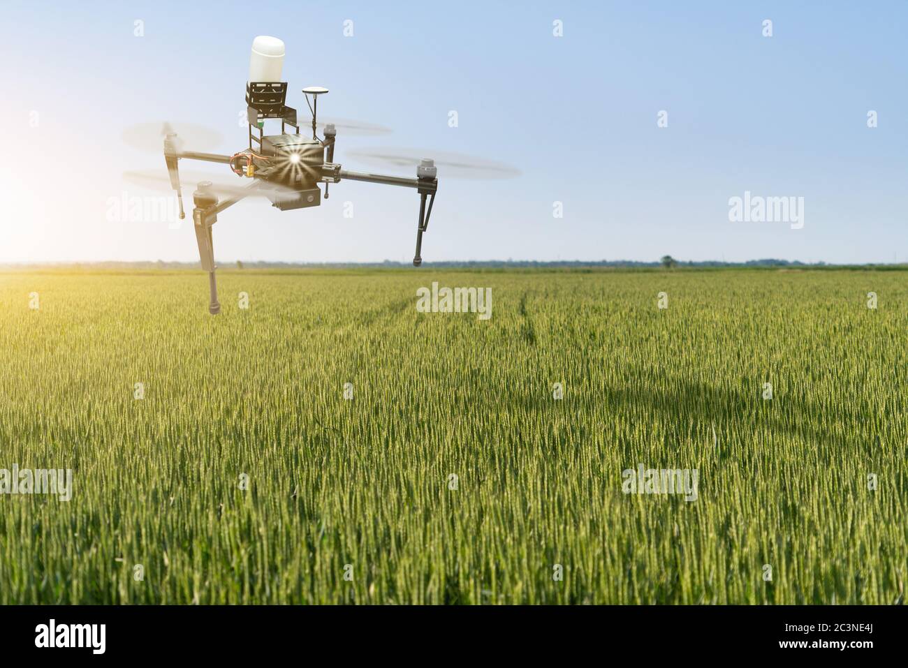 Le pulvérisateur de drone survole un champ de blé. Agriculture intelligente et agriculture de précision Banque D'Images